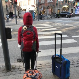 OtterCrossing